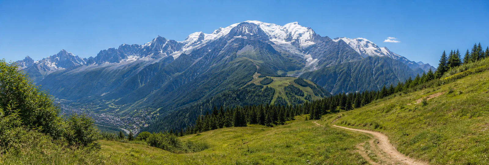 Les Houches summer meadow and Mont Blanc mountain panorama