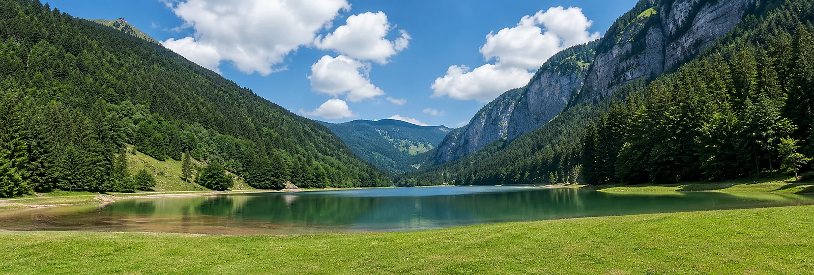 Lac de Montriond and forested Alpine valley in summer