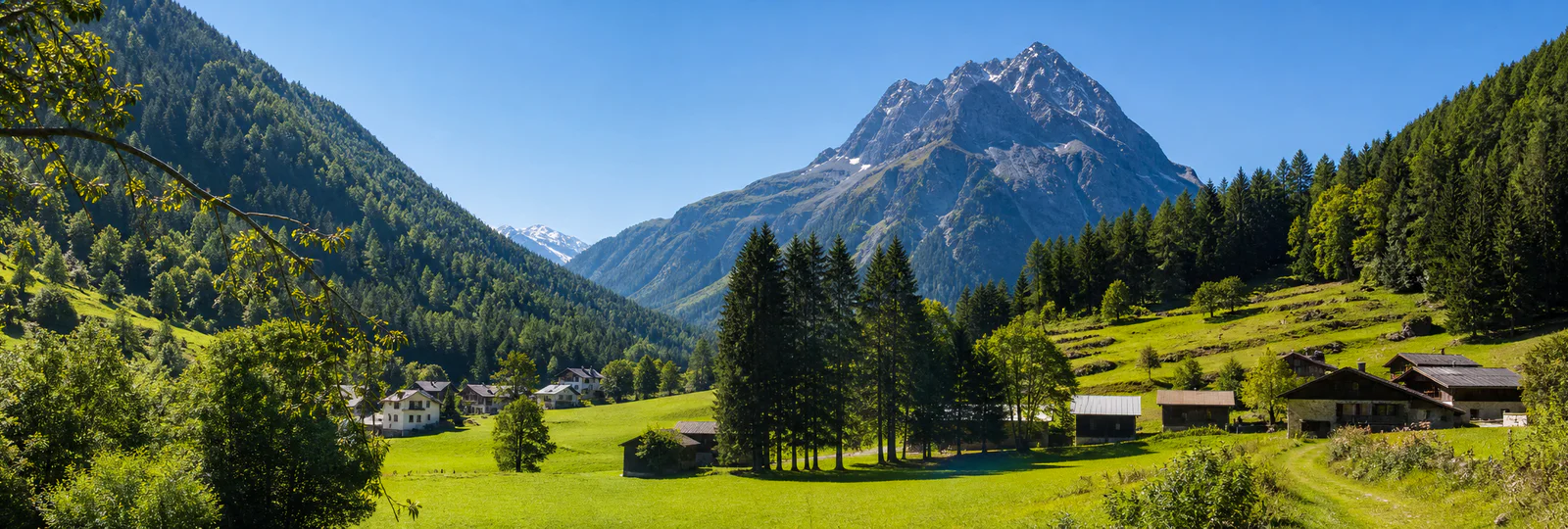 Vallorcine green Alpine valley and mountain panorama