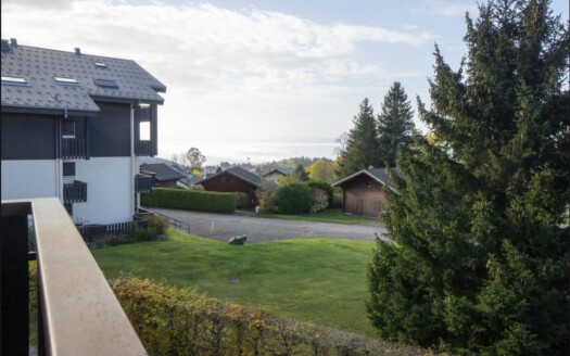 2292 Thollon-les-Mémises Studio Apartment, Lake View, Village Centre
