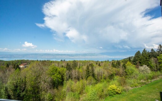 2291 Thollon-les-Mémises Apartment, 1 Bedroom, Lake View, Parking