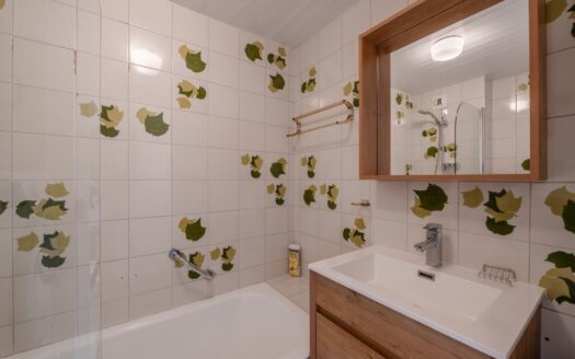 Chamonix-Mont-Blanc Les Praz | Garden Floor Flat