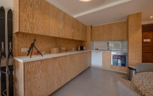 Chamonix-Mont-Blanc Les Praz | Garden Floor Flat