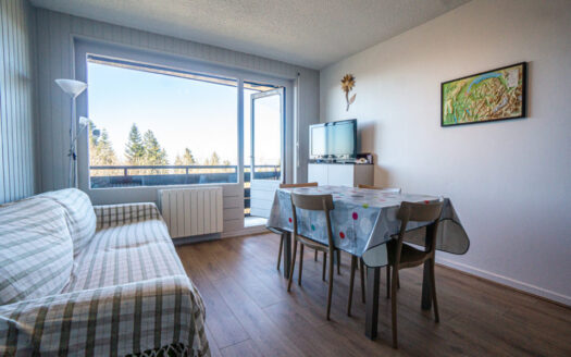 2321 – Thollon-les-Mémises | Spacious 1-Bedroom with bunk area Apartment, Lake View, Balcony, Cyclamens Residence
