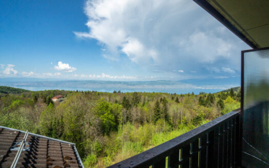 2331 – Thollon-les-Mémises | Affordable 1-Bedroom + Bunk Area Apartment, Lake View, Balcony, Panoramic Residence