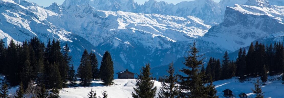 Châtel Properties for Sale.