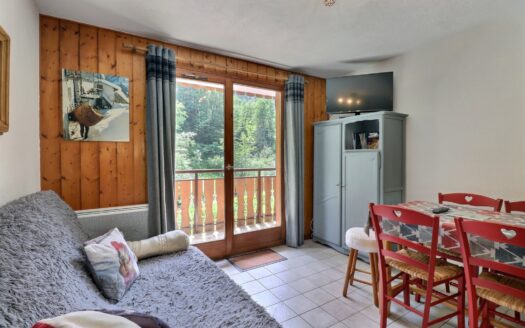 Morzine  | 2 Bedrooms Appartement – Ski In And Ski Out