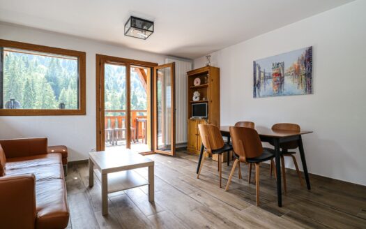 Morzine NYON | 2-bed+cabin Apartment – Ski In / Ski Out