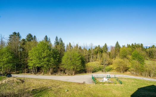 2321 – Thollon-les-Mémises | Spacious 1-Bedroom with bunk area Apartment, Lake View, Balcony, Cyclamens Residence