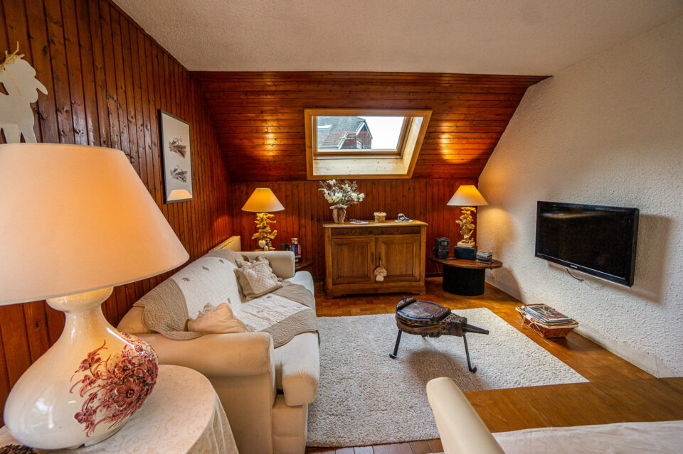 1-bedroom apartment with lake and mountain views