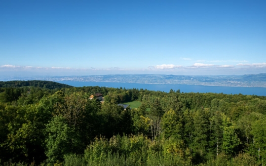 2333 – Thollon-les-Mémises – 1-Bedroom + Bunk Apartment with Lake View, Balcony