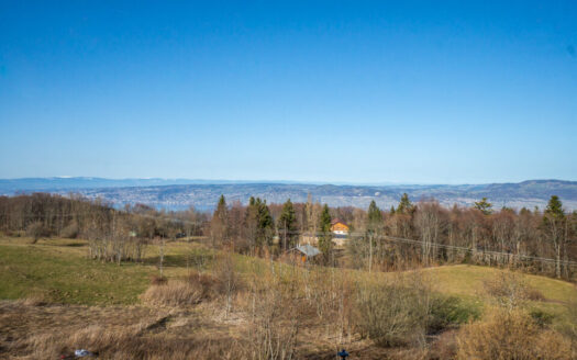 2357 Thollon-les-Mémises Studio Apartment Lake View Balcony