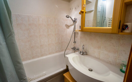 2358 Thollon-les-Mémises Studio Apartment Terrace